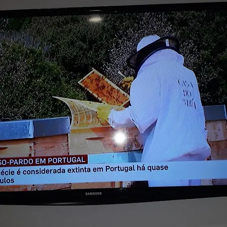 Nyaraló Apimonte House A