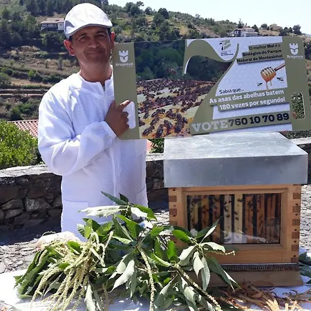 Semesterbostad Apimonte House A *