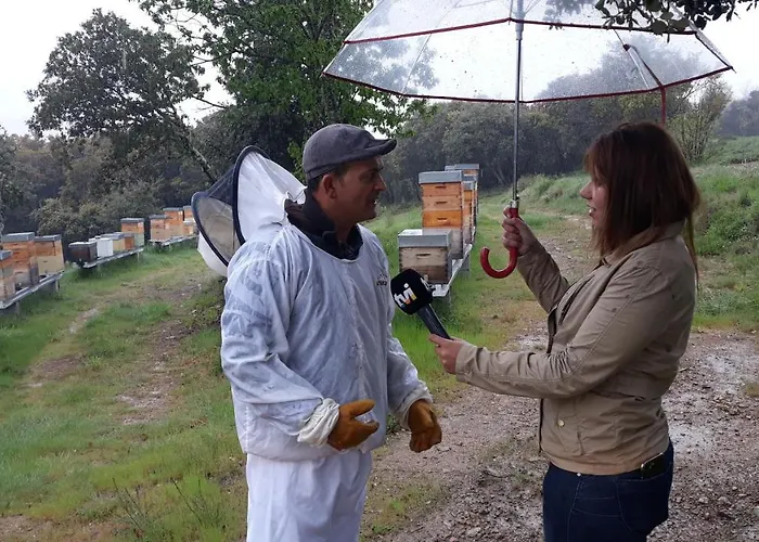 Ferienhaus Apimonte House A Bragança