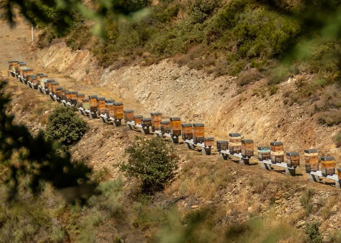 Nyaraló Apimonte House A *