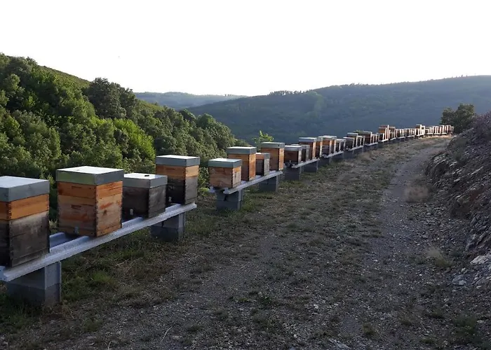 Apimonte House A براغانسا